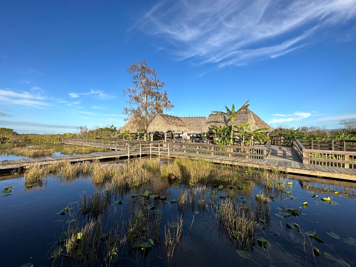 A chickee-style thatched structure beside the water